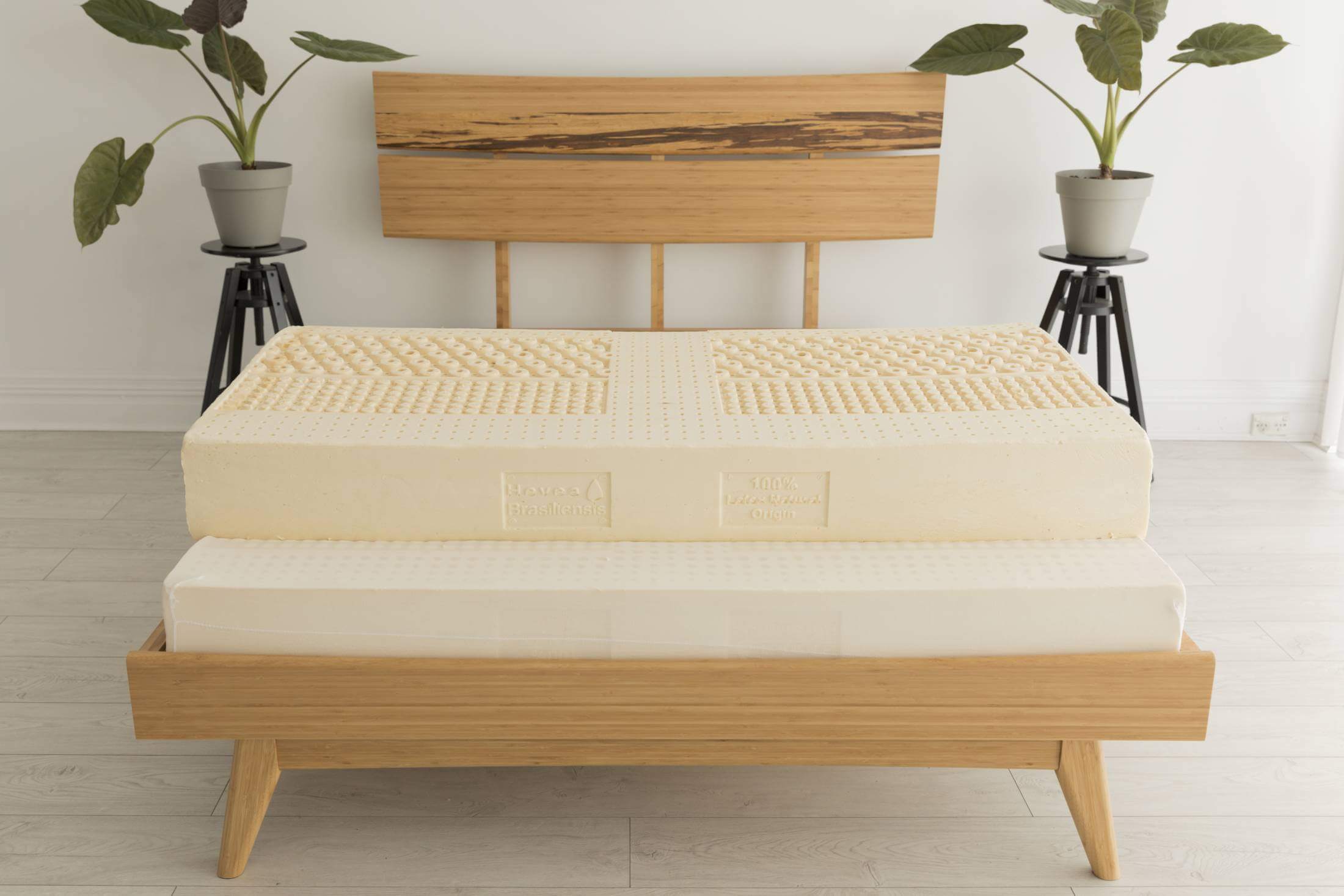 Zenna mattress core showing 100% natural Hevea brasiliensis European latex with 7-zone ventilation holes